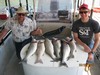 (03/20/2017) - Nice Striped Bass